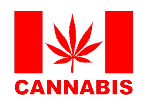 Tee-Shirt Blanc Drapeau Canada Feuille Rouge de Cannabis Manches Courtes