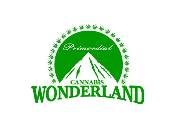 Tee-Shirt Blanc Logo Paramount Cannabis Wonderland Manches Courtes